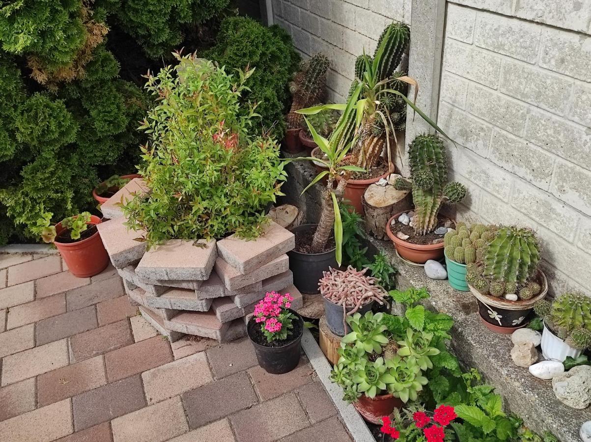Appartamenti Delle Vacanze Keszthely Zewnętrze zdjęcie